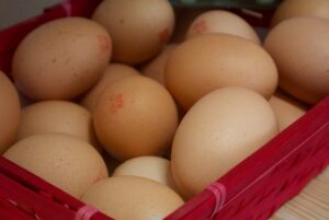 oeufs bio epicerie le bon temps molitg oeufs bio epicerie le bon temps molitg